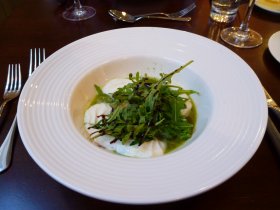 My starter, disappointing on every level