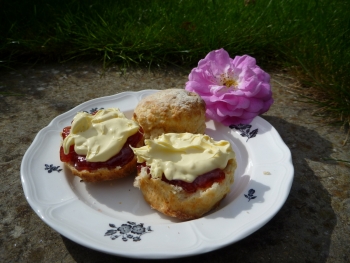 Scones as they should be, with a proper abundance of jam and clotted cream