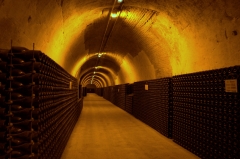 Beneath Rheims stretch the antique cellars of the great champagne houses
