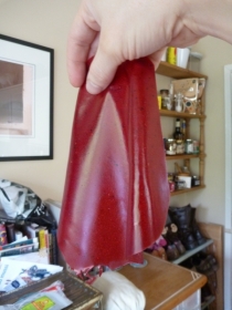 It's a shiny sheet of red raspberry leather! It's awesome
