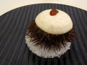 Sea urchin. In case you couldn't tell