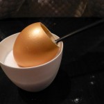 Gilded egg - metaphor?