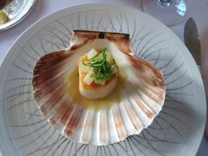 Sweet scallop