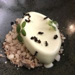 Dessert ants