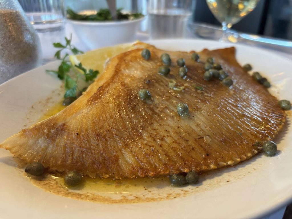 Skate wing